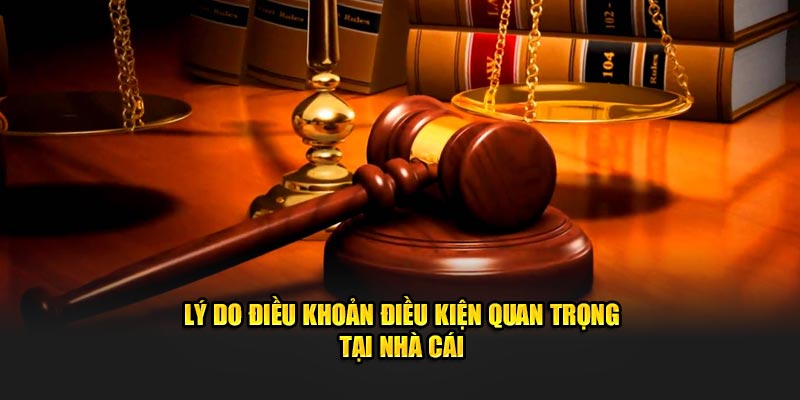 Lý do điều khoản điều kiện nắm vai trò quan trọng tại nhà cái